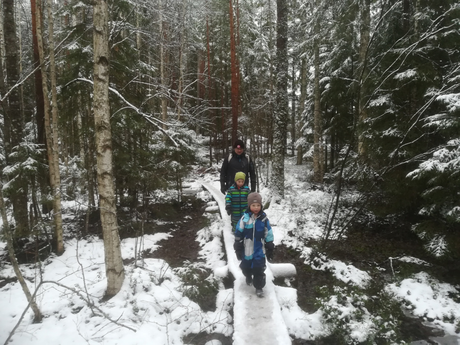 Pitkospuut Karhulammen polulla