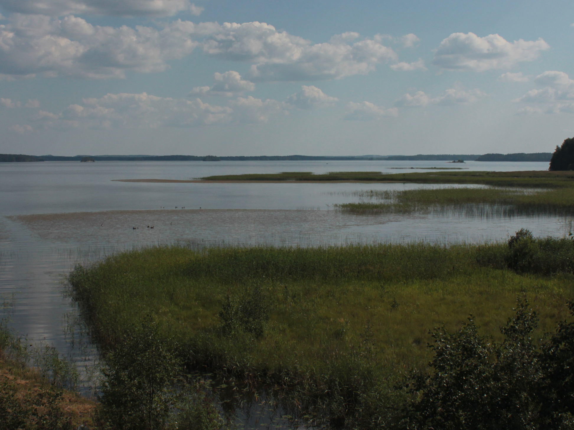 jaalankyla_lintutornilta_pyhajarvi_kesa_s