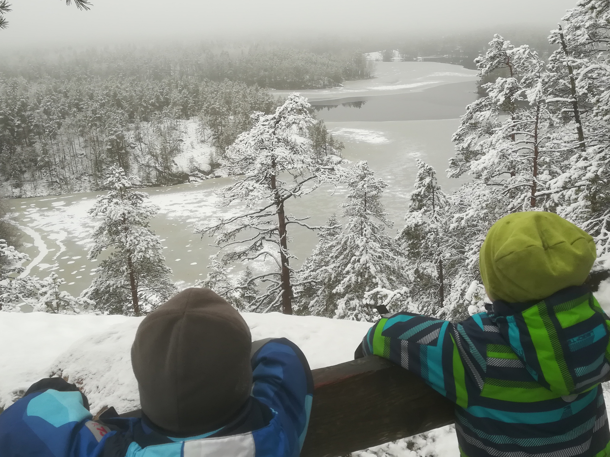 Repovesi kansallispuisto maisema