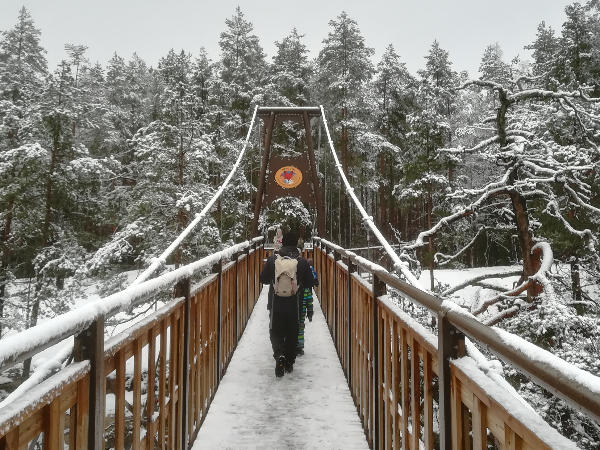 Repoveden kansallispuisto riippusilta